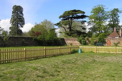 Orchard Cottage - back garden