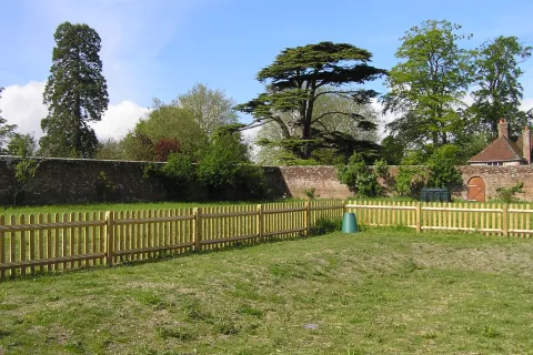 Orchard Cottage - back garden