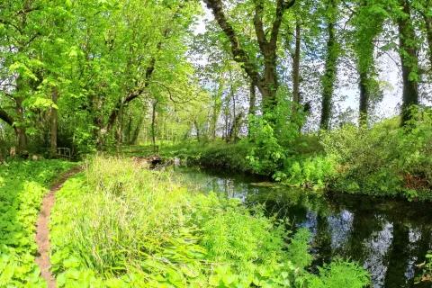 Walking near the cottage