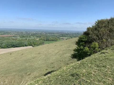 South Downs walk