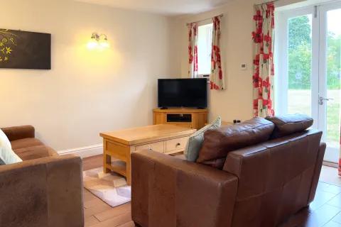 Sitting area with leather sofas